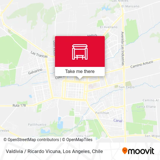 Valdivia /  Ricardo Vicuna map