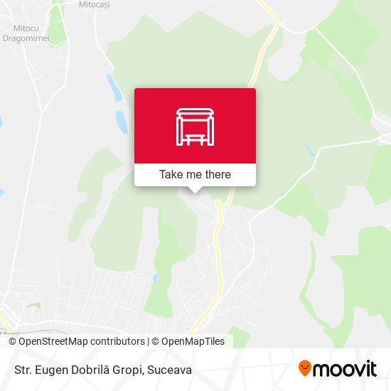 Str. Eugen Dobrilă Gropi map
