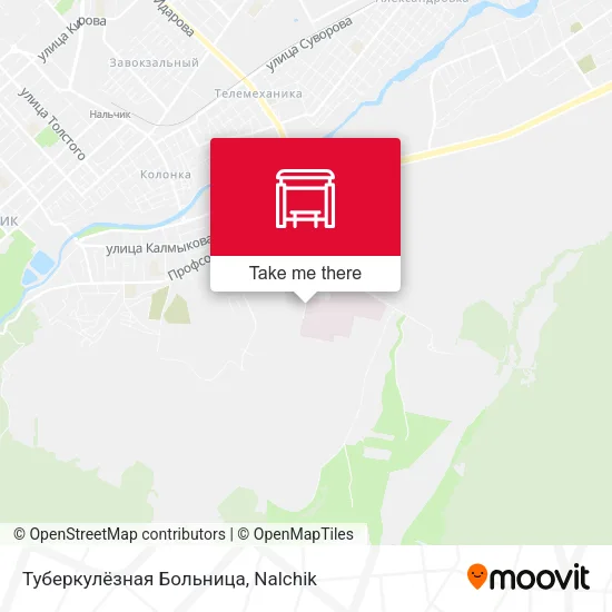 Туберкулёзная Больница map