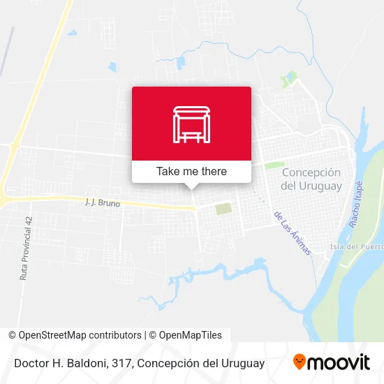 Mapa de Doctor H. Baldoni, 317