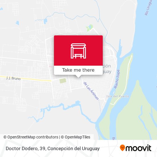 Mapa de Doctor Dodero, 39