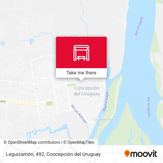 Mapa de Leguizamón, 492