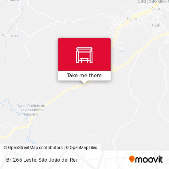 Br-265 Leste map
