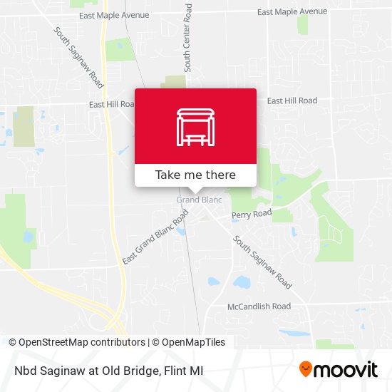 Nbd Saginaw at Old Bridge map