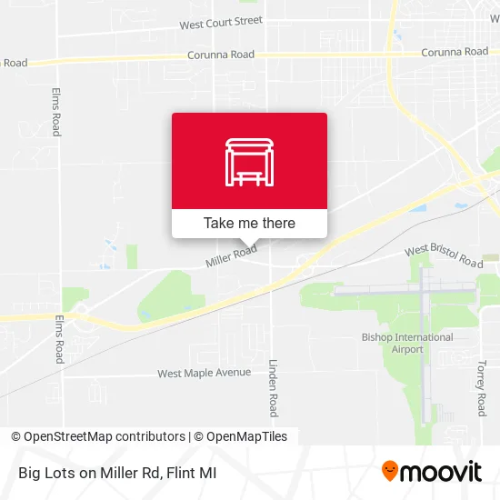 Big Lots on Miller Rd map