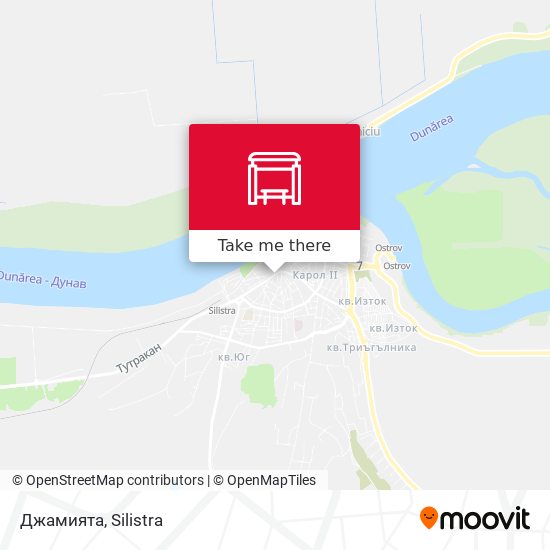 Джамията map