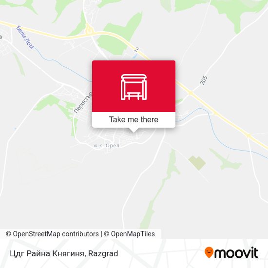Карта Цдг Райна Княгиня