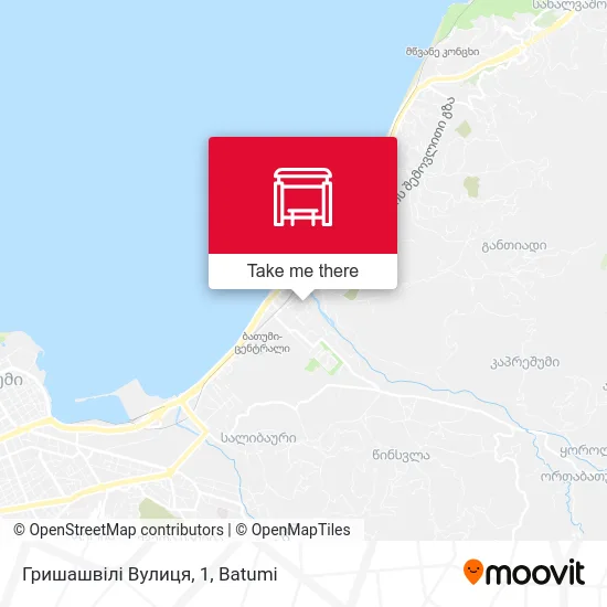 Гришашвілі Вулиця, 1 map