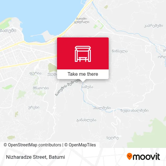 Nizharadze Street map
