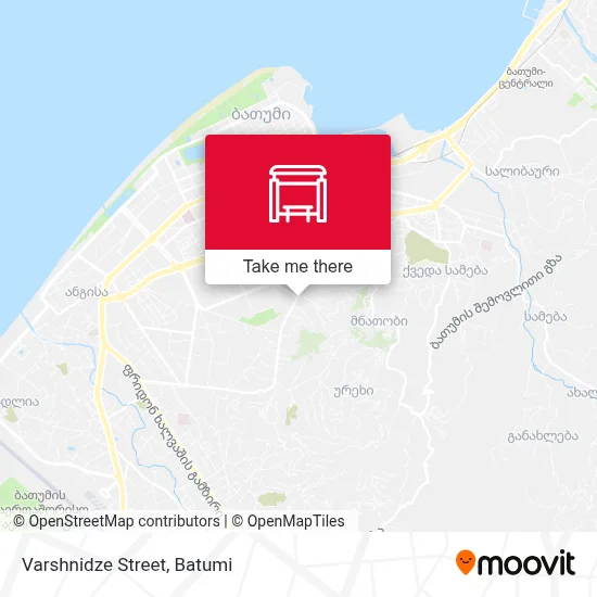 Varshnidze Street map