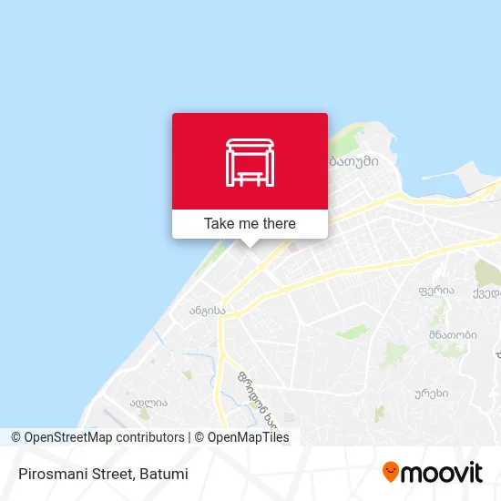 Pirosmani Street map