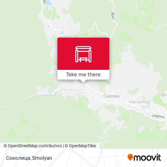Соколица map