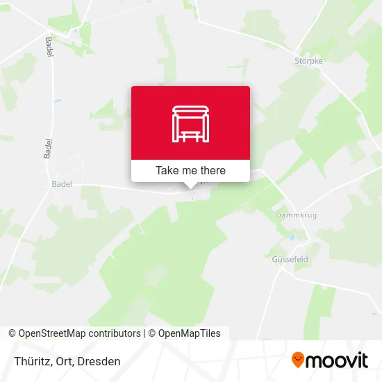 Карта Thüritz, Ort