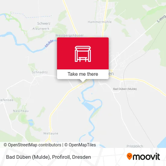 Карта Bad Düben (Mulde), Profiroll