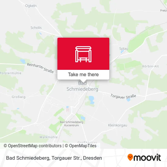 Карта Bad Schmiedeberg, Torgauer Str.