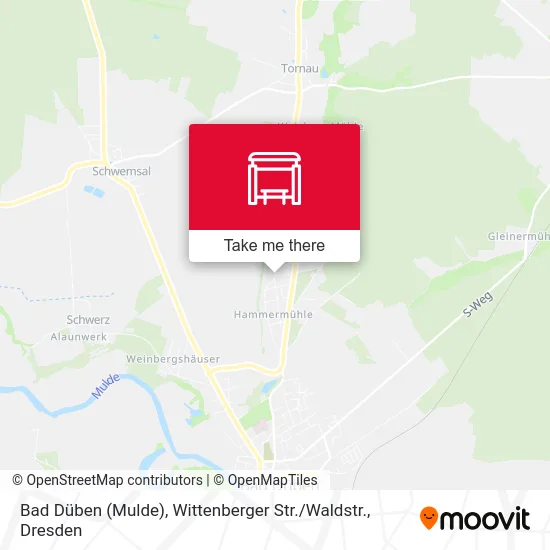 Карта Bad Düben (Mulde), Wittenberger Str. / Waldstr.