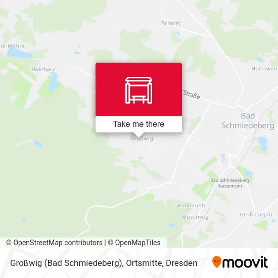 Карта Großwig (Bad Schmiedeberg), Ortsmitte