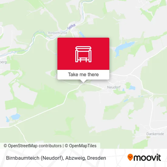 Карта Birnbaumteich (Neudorf), Abzweig
