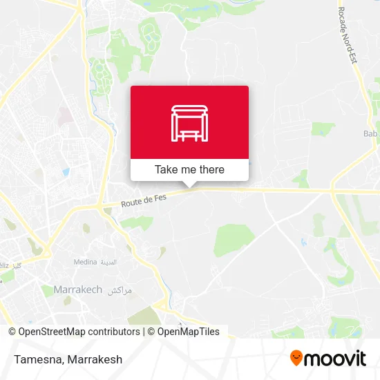 Tamesna plan