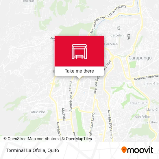 Mapa de Terminal La Ofelia