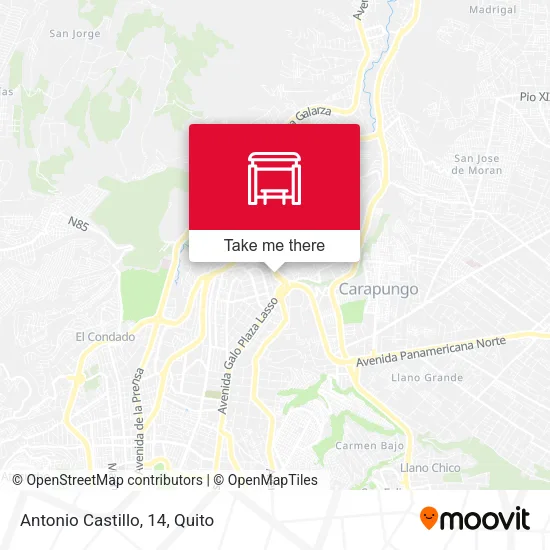 Mapa de Antonio Castillo, 14