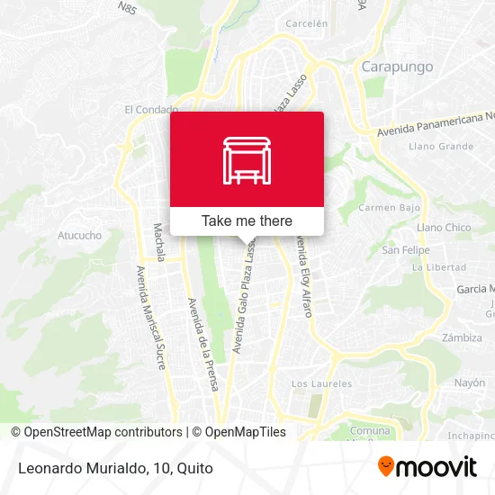 Mapa de Leonardo Murialdo, 10