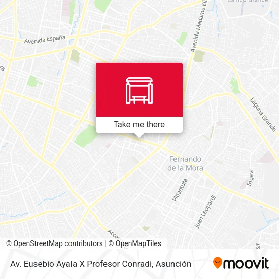Av. Eusebio Ayala X Profesor Conradi map