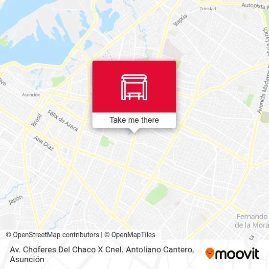 Av. Choferes Del Chaco X Cnel. Antoliano Cantero map