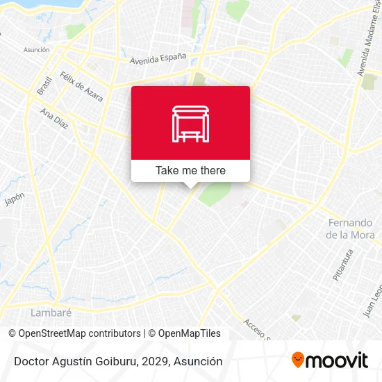 Doctor Agustín Goiburu, 2029 map