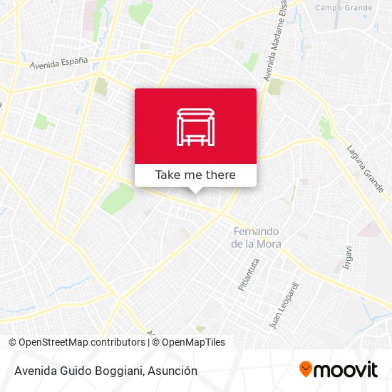 Mapa de Avenida Guido Boggiani