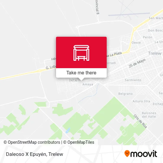 Daleoso X Epuyén map