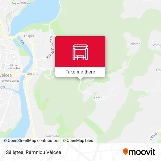 Săliștea map