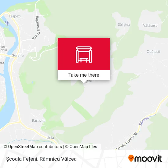 Școala Fețeni map