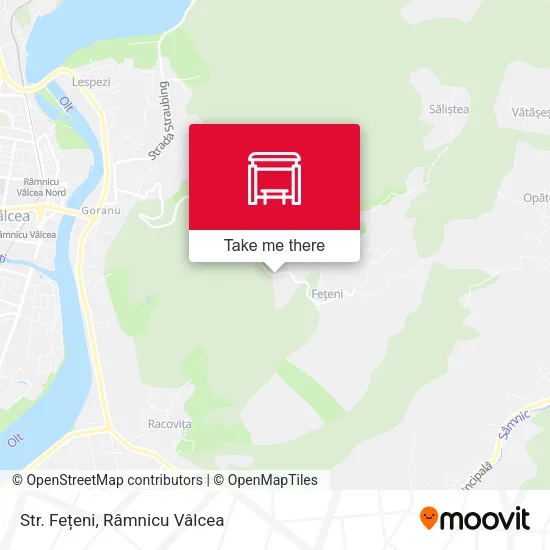 Str. Fețeni map
