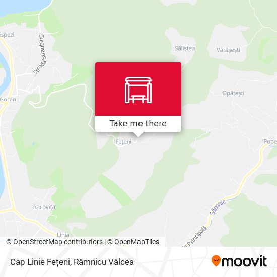 Cap Linie Fețeni map