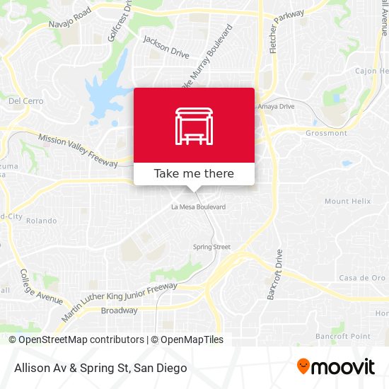 Allison Av & Spring St map