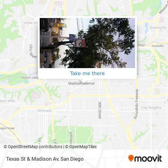 Texas St & Madison Av map