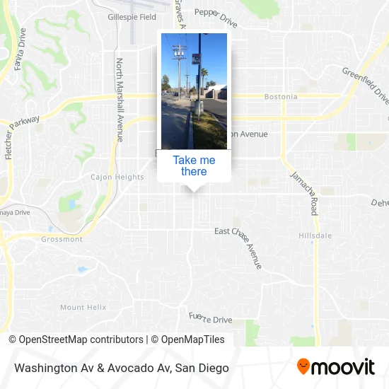 Washington Av & Avocado Av map