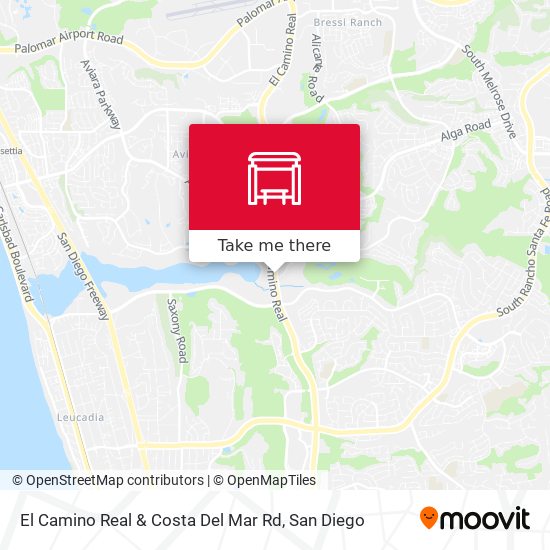 El Camino Real & Costa Del Mar Rd map
