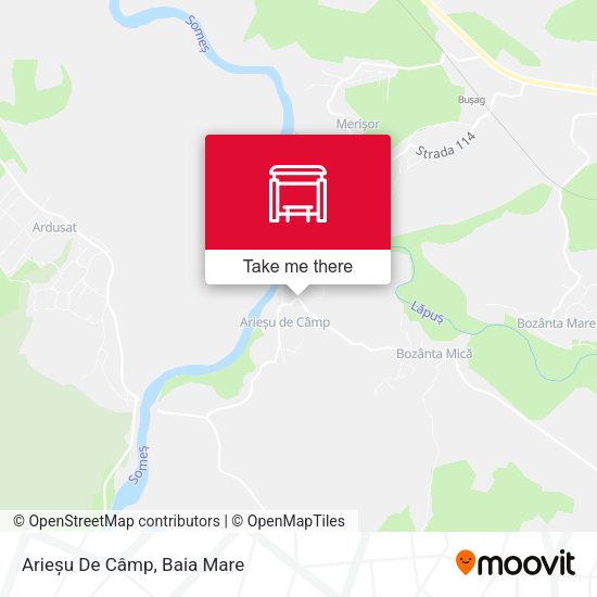 Arieșu De Câmp map