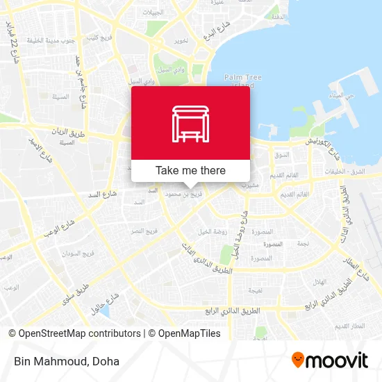 Bin Mahmoud map