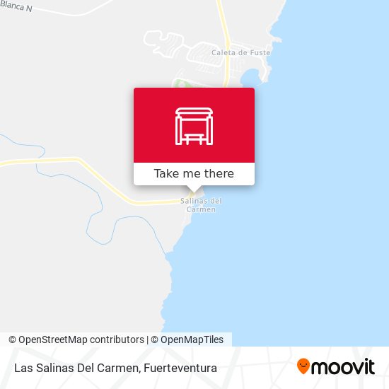 Las Salinas Del Carmen map