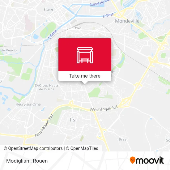 Modigliani map