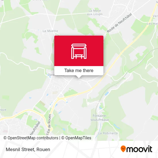 Mapa Rue Du Mesnil