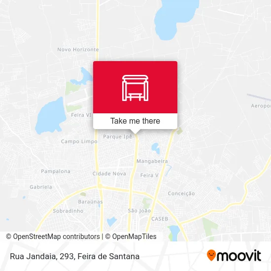 Rua Jandaia, 293 map