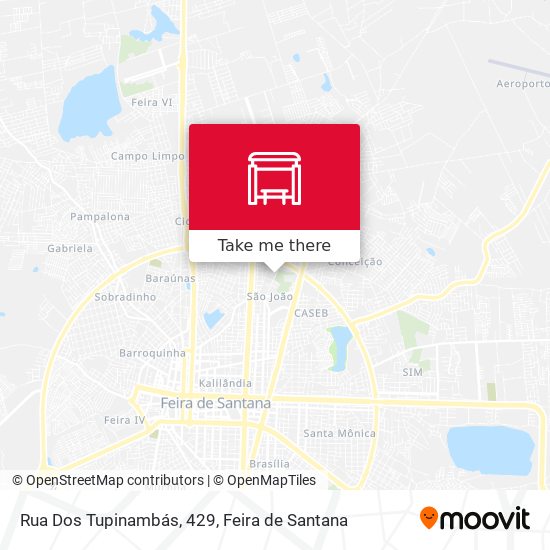 Rua Dos Tupinambás, 429 map