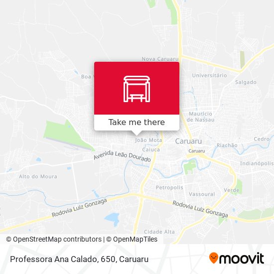 Professora Ana Calado, 650 map