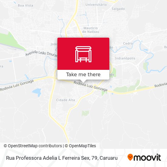 Rua Professora Adelia L Ferreira Sex, 79 map