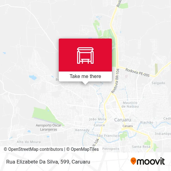 Rua Elizabete Da Silva, 599 map