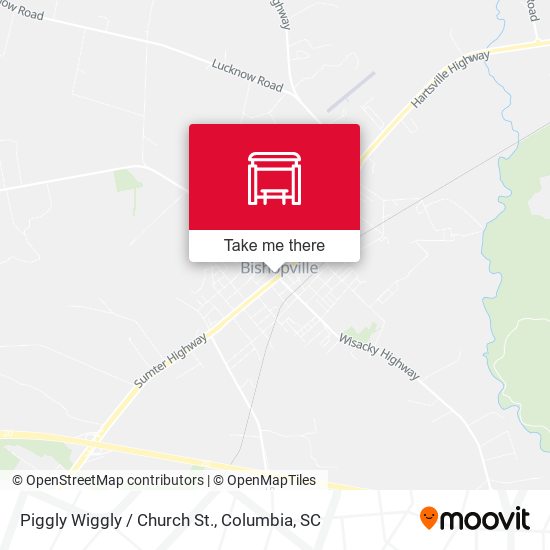 Piggly Wiggly / Church St. map